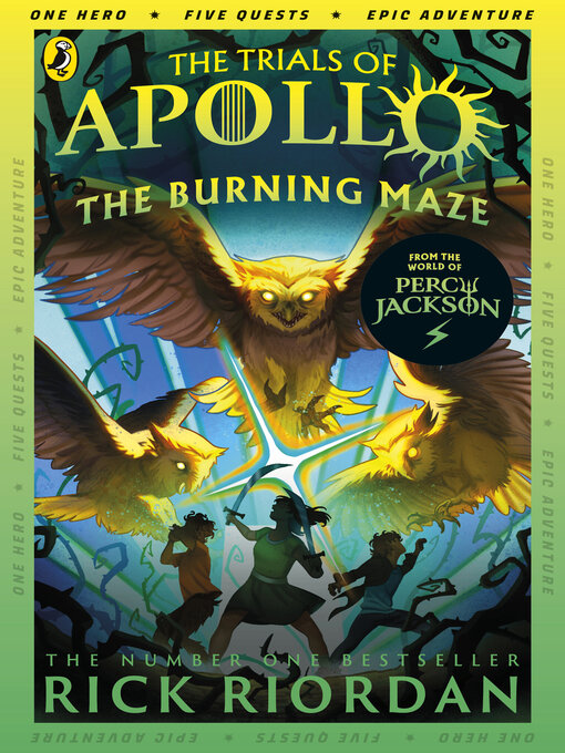 Cover image for The Burning Maze